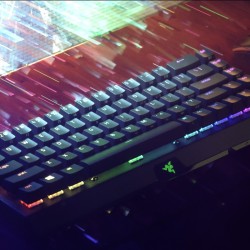 Razer BlackWidow V3 Mini Hyperspeed - لوحة مفاتيح ميكانيكية لاسلكية للألعاب بنسبة 65% (مفتاح أصفر) وإضاءة خلفية قابلة للتخصيص من Razer Chroma RGB