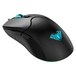 Aula S13 Mouse