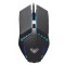 Aula S31 Mouse