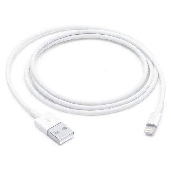 Apple A1480 Lightning to USB Cable [Copy] / (1m)